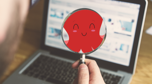SEO avocats