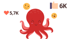 Animation réseaux sociaux